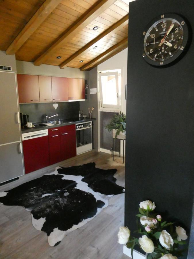 Central & Elegant Apartments,Partially With Fireplace, By Zermatt Rental Kültér fotó